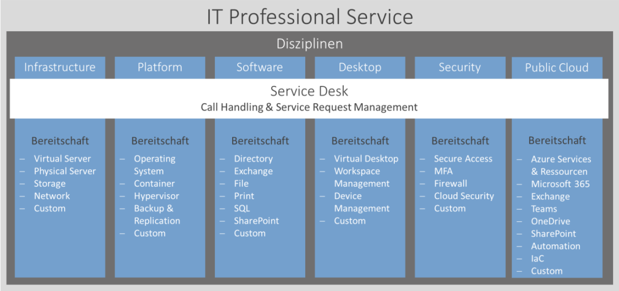 IT Professional Service