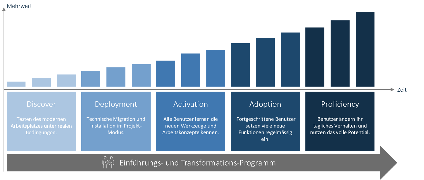 Einführungs und Transformationsprogramm-1
